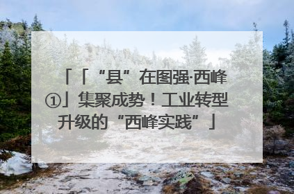 「“县”在图强·西峰①」集聚成势！工业转型升级的“西峰实践”