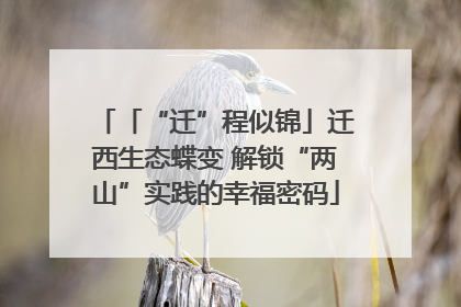 「“迁”程似锦」迁西生态蝶变 解锁“两山”实践的幸福密码