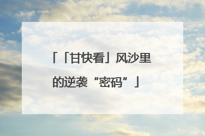 「甘快看」风沙里的逆袭“密码”
