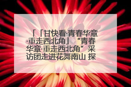 「甘快看·青春华章·重走西北角」“青春华章·重走西北角”采访团走进花舞南山 探寻天水乡村振兴之路