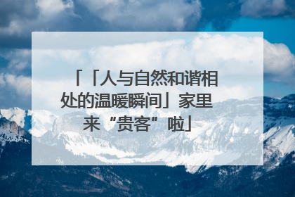 「人与自然和谐相处的温暖瞬间」家里来“贵客”啦