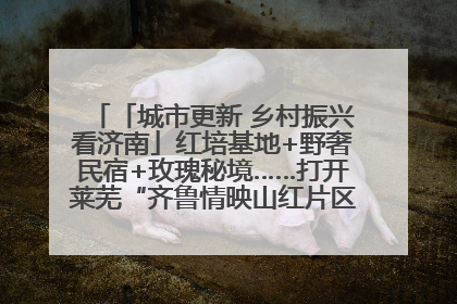 「城市更新 乡村振兴看济南」红培基地+野奢民宿+玫瑰秘境……打开莱芜“齐鲁情映山红片区”的破圈秘籍