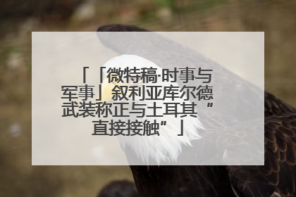 「微特稿·时事与军事」叙利亚库尔德武装称正与土耳其“直接接触”