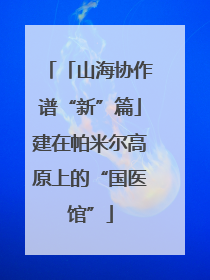 「山海协作谱“新”篇」建在帕米尔高原上的“国医馆”