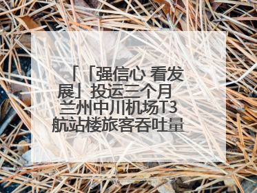 「强信心 看发展」投运三个月 兰州中川机场T3航站楼旅客吞吐量超434万人次