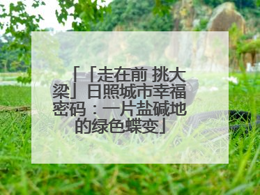 「走在前 挑大梁」日照城市幸福密码：一片盐碱地的绿色蝶变