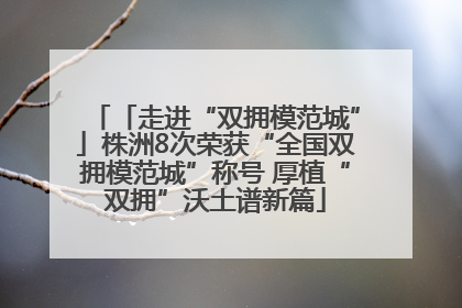 「走进“双拥模范城”」株洲8次荣获“全国双拥模范城”称号 厚植“双拥”沃土谱新篇