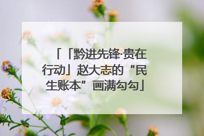 「黔进先锋·贵在行动」赵大志的“民生账本”画满勾勾