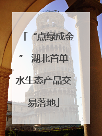 “点绿成金” 湖北首单水生态产品交易落地