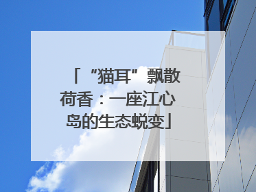 “猫耳”飘散荷香：一座江心岛的生态蜕变
