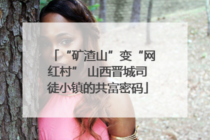 “矿渣山”变“网红村” 山西晋城司徒小镇的共富密码