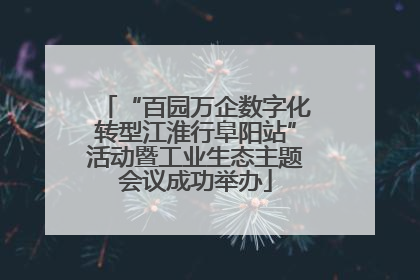 “百园万企数字化转型江淮行阜阳站”活动暨工业生态主题会议成功举办