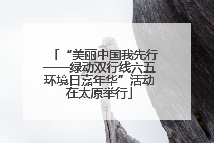 “美丽中国我先行——绿动双行线六五环境日嘉年华”活动在太原举行