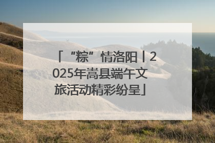 “粽”情洛阳丨2025年嵩县端午文旅活动精彩纷呈