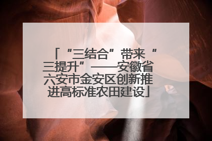 “三结合”带来“三提升”——安徽省六安市金安区创新推进高标准农田建设