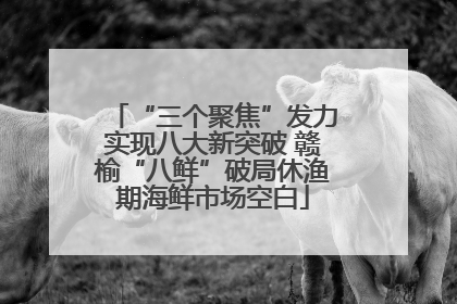 “三个聚焦”发力实现八大新突破 赣榆“八鲜”破局休渔期海鲜市场空白