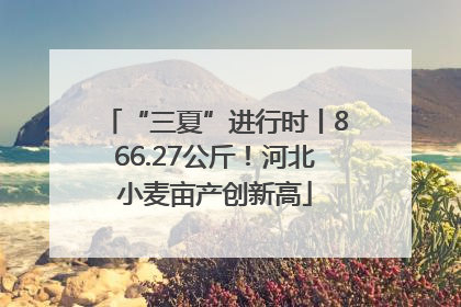 “三夏”进行时丨866.27公斤！河北小麦亩产创新高
