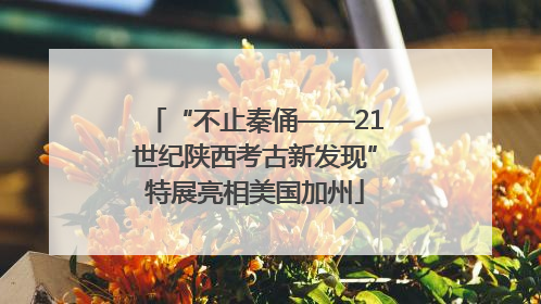 “不止秦俑——21世纪陕西考古新发现”特展亮相美国加州