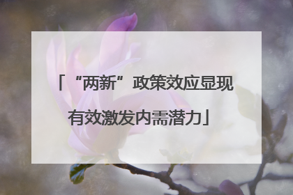“两新”政策效应显现 有效激发内需潜力
