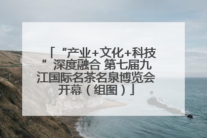 “产业+文化+科技”深度融合 第七届九江国际名茶名泉博览会开幕（组图）
