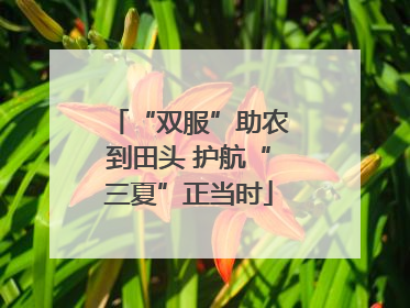 “双服”助农到田头 护航“三夏”正当时