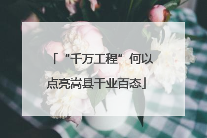 “千万工程”何以点亮嵩县千业百态