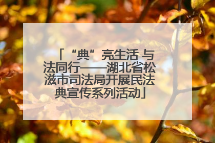 “典”亮生活 与法同行——湖北省松滋市司法局开展民法典宣传系列活动