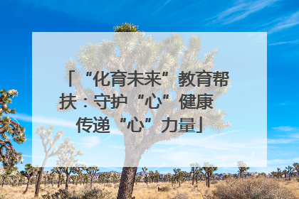 “化育未来”教育帮扶：守护“心”健康 传递“心”力量