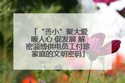 “善小”聚大爱 暖人心 促发展 解密淄博供电员工付珍家庭的文明密码