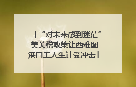 “对未来感到迷茫” 美关税政策让西雅图港口工人生计受冲击