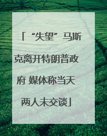“失望”马斯克离开特朗普政府 媒体称当天两人未交谈