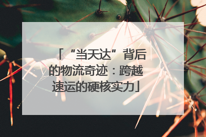“当天达”背后的物流奇迹：跨越速运的硬核实力