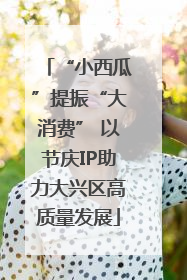 “小西瓜”提振“大消费” 以节庆IP助力大兴区高质量发展