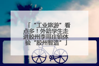 “工业旅游”看点多！外籍学生走进胶州李哥庄镇体验“胶州智造”