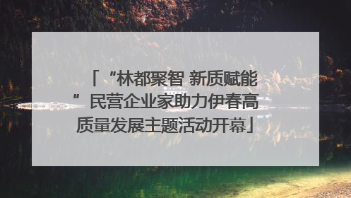 “林都聚智 新质赋能”民营企业家助力伊春高质量发展主题活动开幕