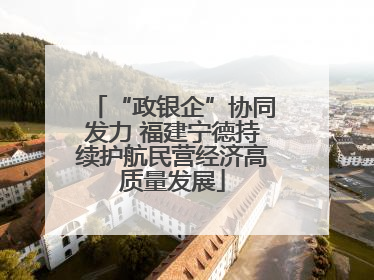 “政银企”协同发力 福建宁德持续护航民营经济高质量发展