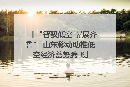 “智驭低空 翼展齐鲁” 山东移动助推低空经济蓄势腾飞
