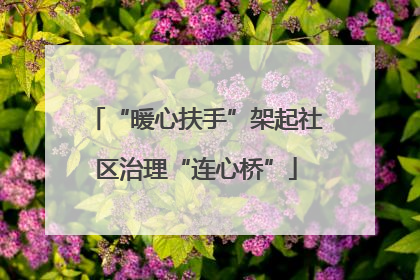 “暖心扶手”架起社区治理“连心桥”