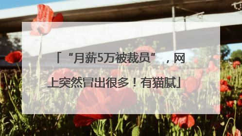“月薪5万被裁员”，网上突然冒出很多！有猫腻
