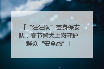 “汪汪队”变身保安队，春节警犬上岗守护群众“安全感”