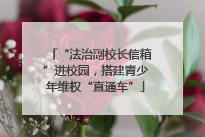 “法治副校长信箱”进校园，搭建青少年维权“直通车”