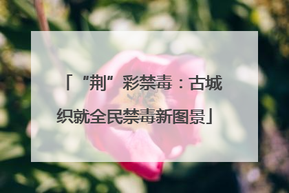 “荆”彩禁毒：古城织就全民禁毒新图景