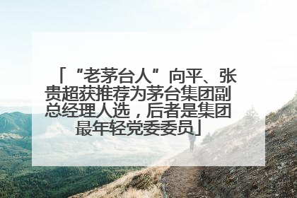 “老茅台人”向平、张贵超获推荐为茅台集团副总经理人选，后者是集团最年轻党委委员