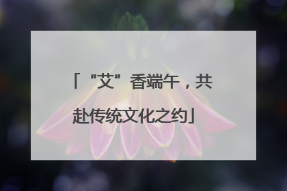 “艾”香端午，共赴传统文化之约