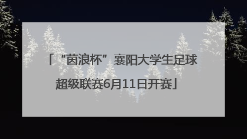 “茵浪杯”襄阳大学生足球超级联赛6月11日开赛