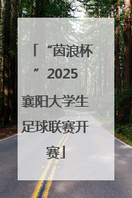 “茵浪杯”2025襄阳大学生足球联赛开赛