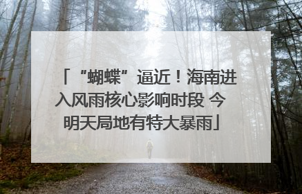 “蝴蝶”逼近！海南进入风雨核心影响时段 今明天局地有特大暴雨