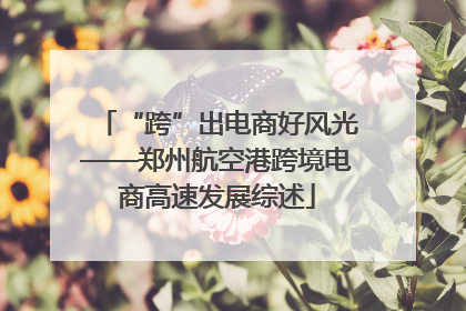 “跨”出电商好风光——郑州航空港跨境电商高速发展综述