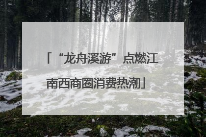 “龙舟溪游”点燃江南西商圈消费热潮