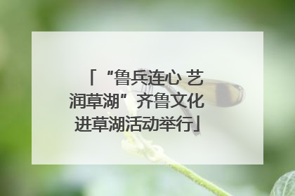 “鲁兵连心 艺润草湖”齐鲁文化进草湖活动举行